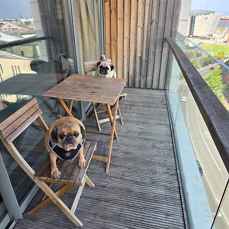 Benji & Milos Apartments Belfast Zewnętrze zdjęcie